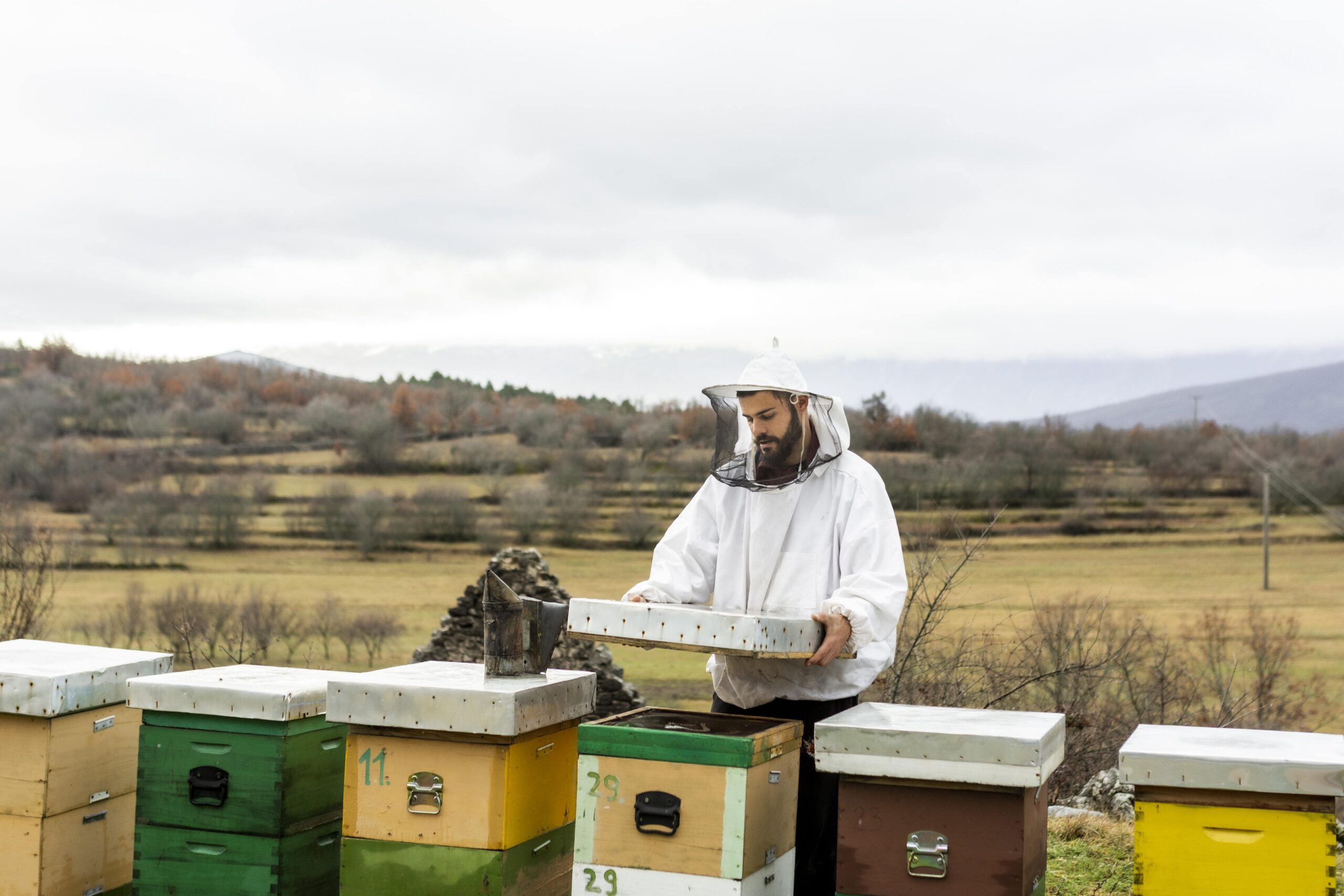 Beekeeper with hives