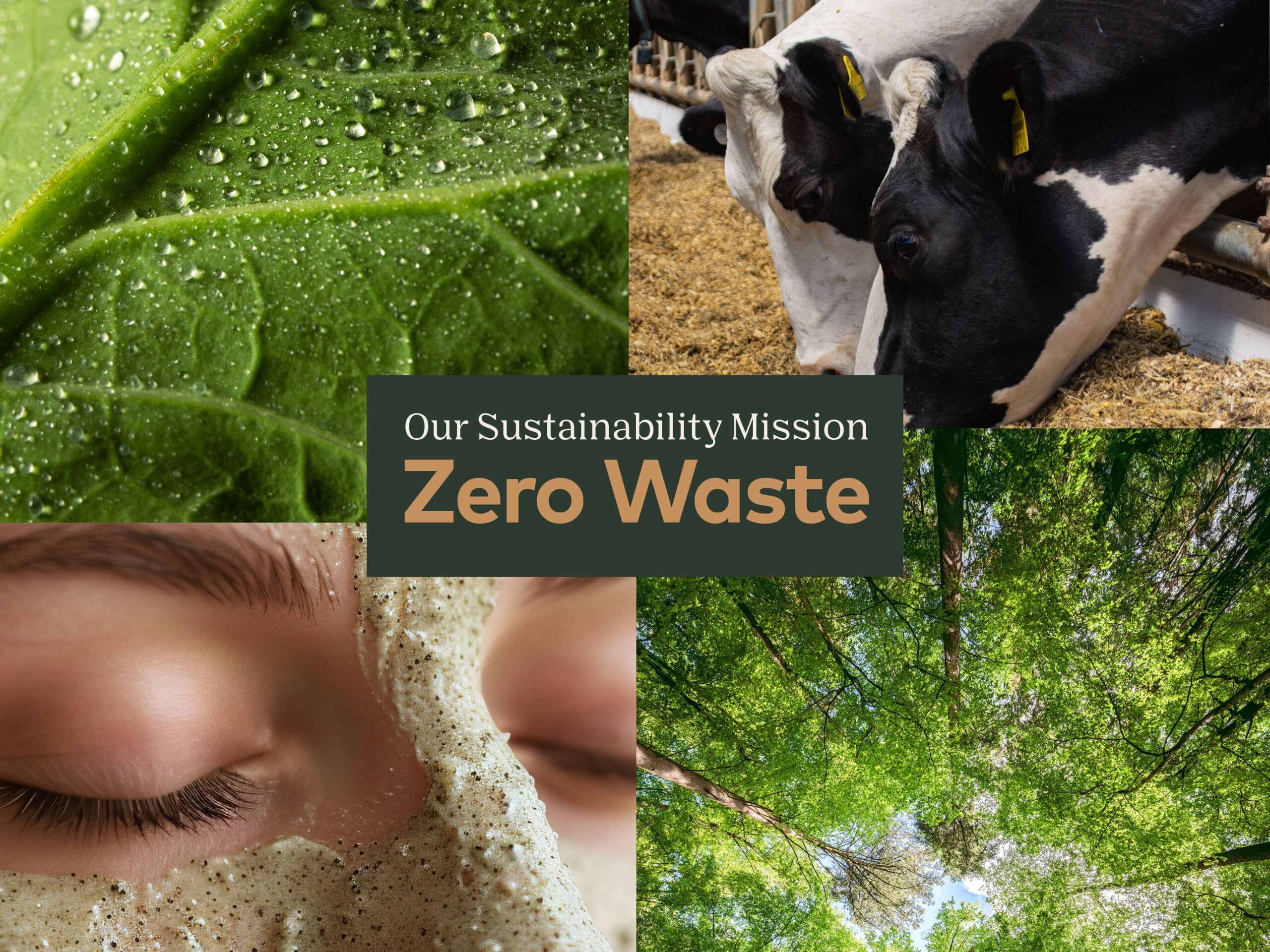 4 images, one of a leaf, one of cows, one of exfoliator on face and one of forest, overlaid with text reading sour sustainability mission: zero waste